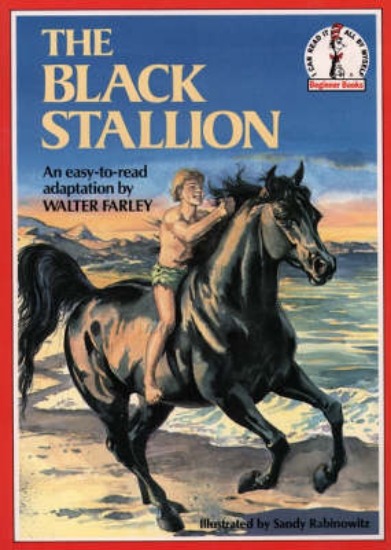 Picture of The Black Stallion