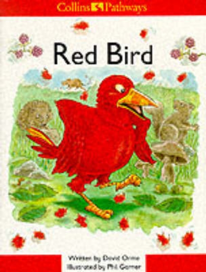 Picture of Red Bird