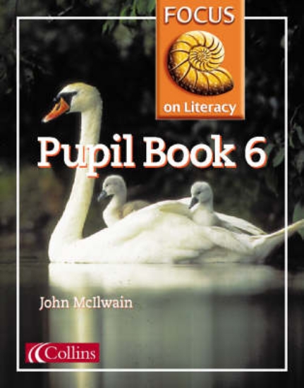 Picture of Focus on Literacy: Pupil Textbook Bk.6