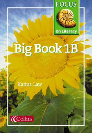 Picture of Focus on Literacy: Big Book 1B