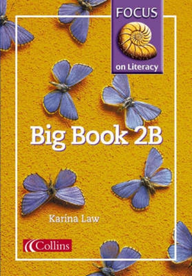 Picture of Focus on Literacy: Big Book 2B
