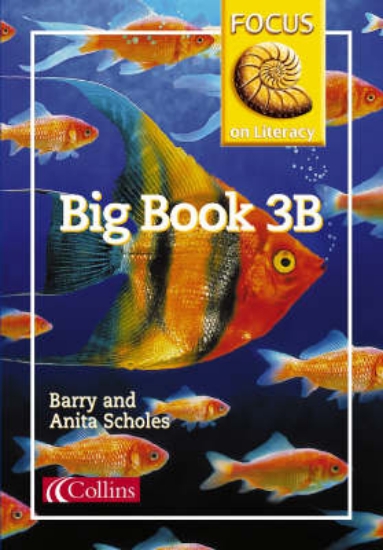 Picture of Focus on Literacy: Big Book 3B