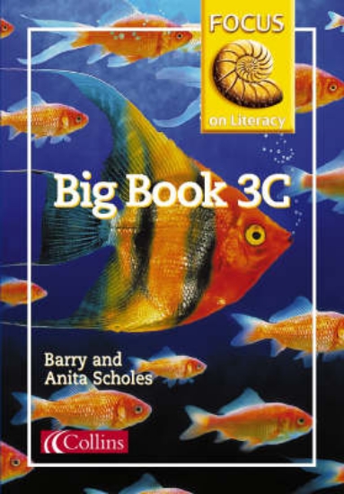 Picture of Focus on Literacy: Big Book 3C