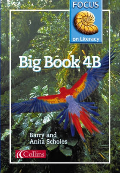 Picture of Focus on Literacy: Big Book 4B