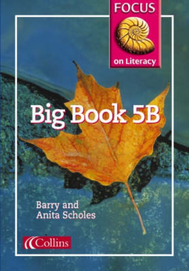 Picture of Focus on Literacy: Big Book 5B