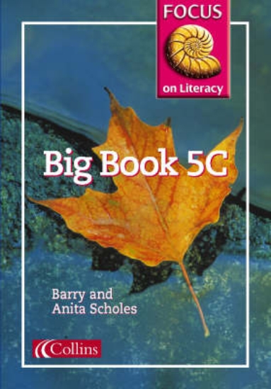 Picture of Focus on Literacy: Big Book 5C