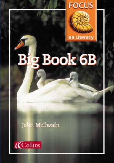 Picture of Focus on Literacy: Big Book 6B