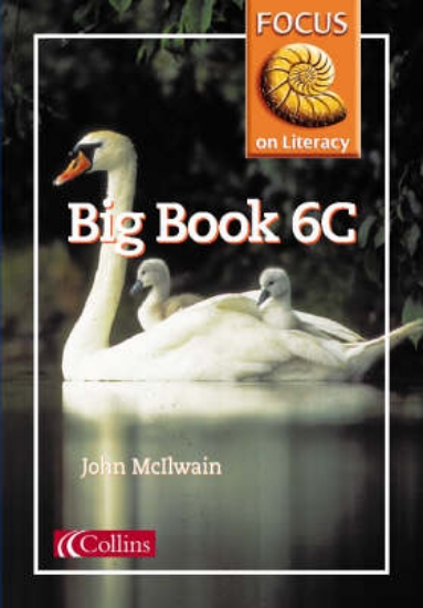 Picture of Focus on Literacy: Big Book 6C