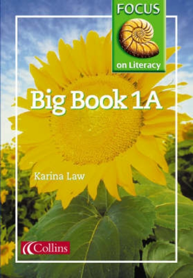 Picture of Focus on Literacy: Big Book 1A