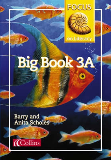 Picture of Focus on Literacy: Big Book 3A