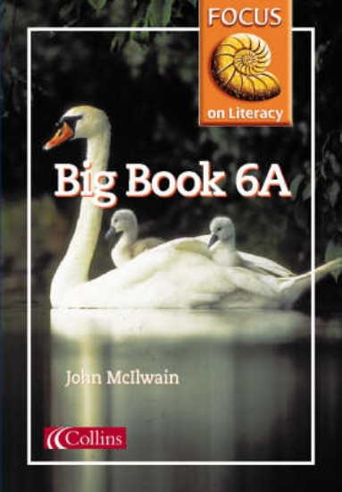 Picture of Focus on Literacy: Big Book 6A