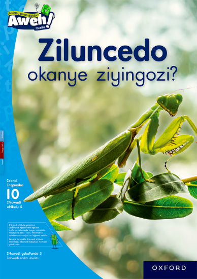 Picture of Ziluncedo okanye ziyingozi?