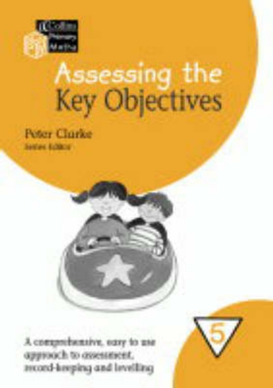 Picture of Year 5 Assessing the Key Objectives