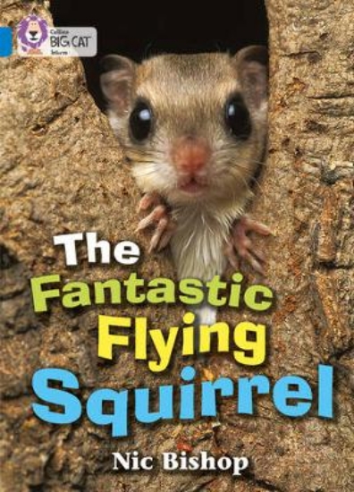 Picture of The Fantastic Flying Squirrel