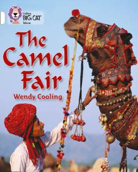 Picture of The Camel Fair