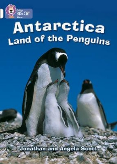 Picture of Antarctica: Land of the Penguins