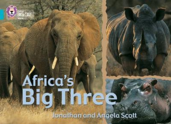 Picture of Africa's Big Three