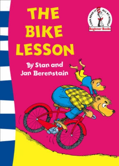 Picture of The Bike Lesson