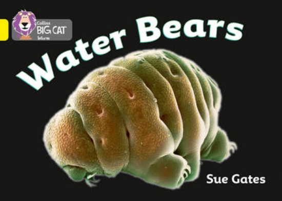 Picture of Water Bears