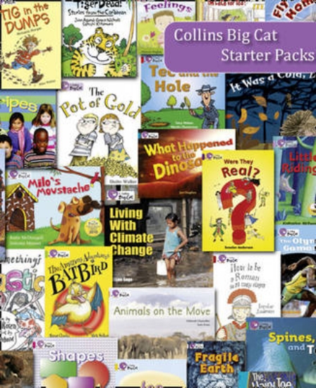 Picture of Diamond 2010 Starter Set