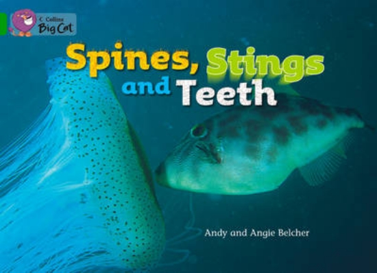 Picture of Spines, Stings and Teeth Workbook