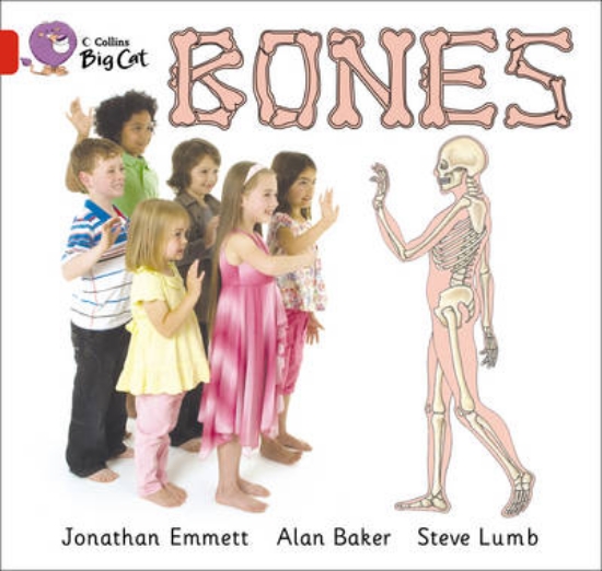 Picture of Bones Workbook
