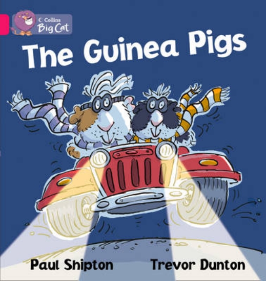 Picture of The Guinea Pigs Workbook