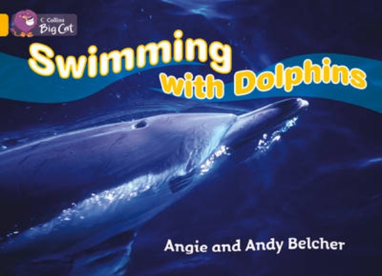 Picture of Swimming with Dolphins