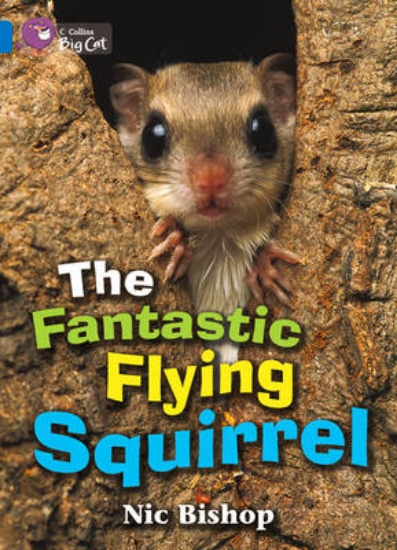 Picture of The Fantastic Flying Squirrel