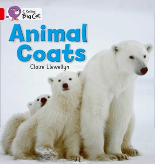 Picture of Animal Coats Workbook