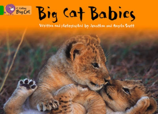 Picture of Big Cat Babies Workbook
