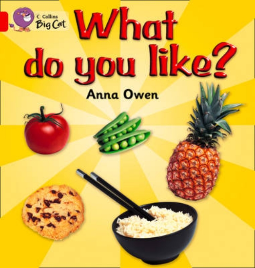 Picture of What Do You Like? Workbook