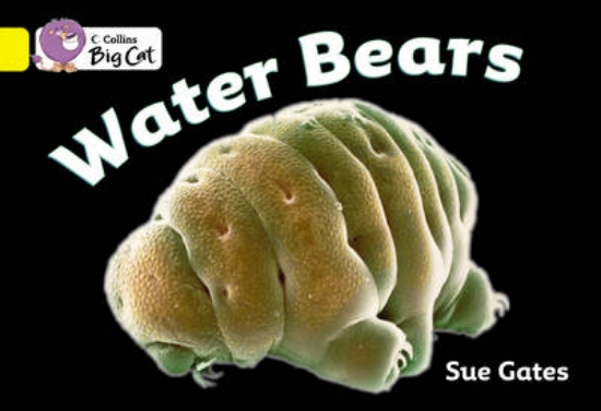 Picture of Water Bears