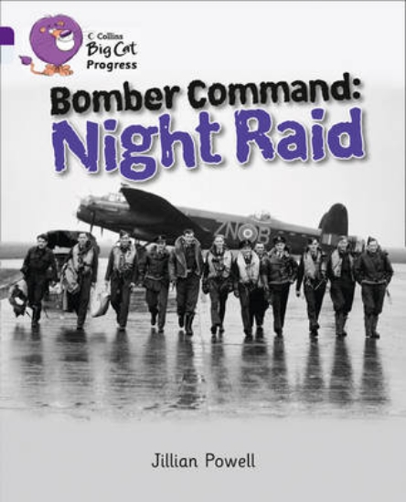 Picture of Bomber Command