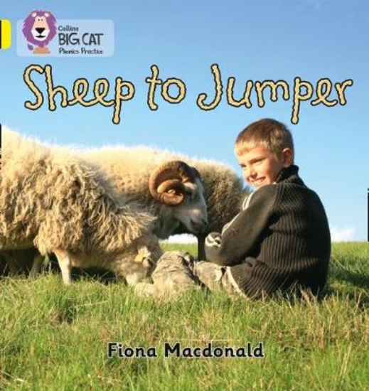 Picture of Sheep to Jumper