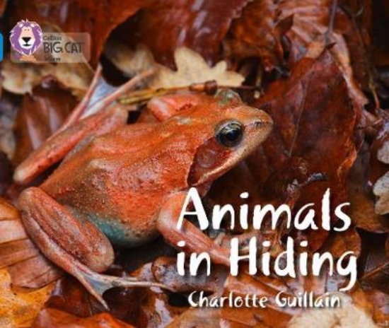 Picture of Animals in Hiding
