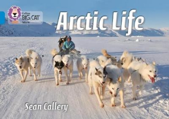 Picture of Arctic Life