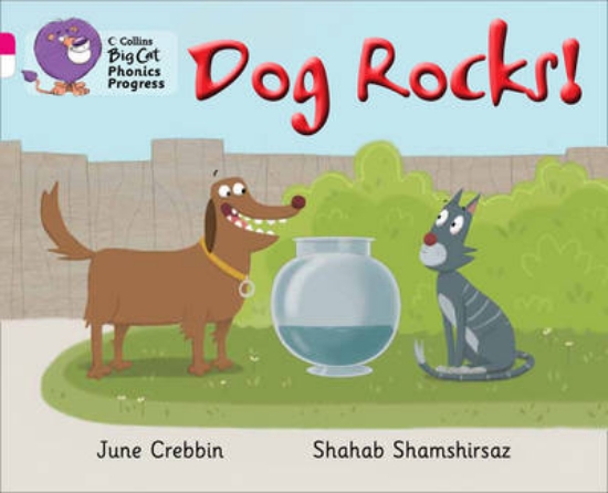 Picture of Dog Rocks!