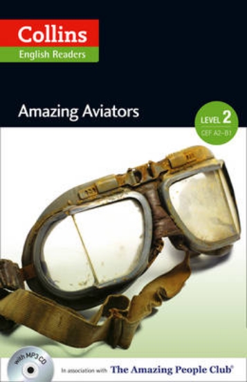 Picture of Amazing Aviators