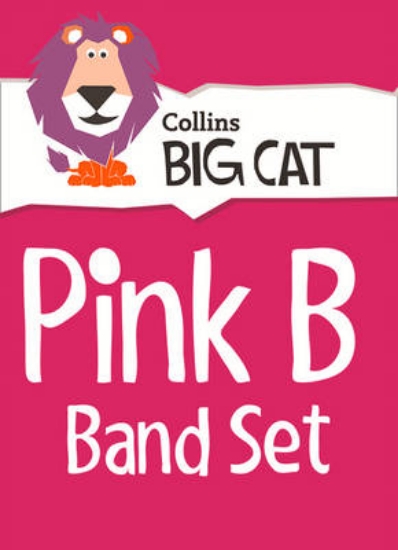 Picture of Pink B Starter Set