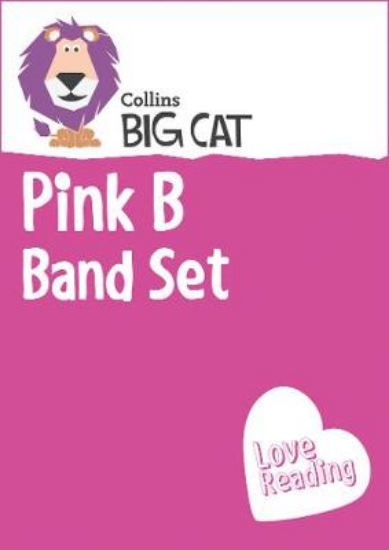 Picture of Pink B Band Set
