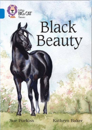 Picture of Black Beauty