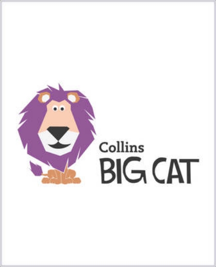 Picture of My balcony oasis