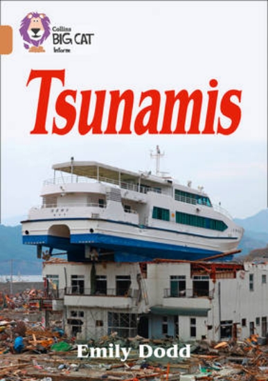 Picture of Tsunamis