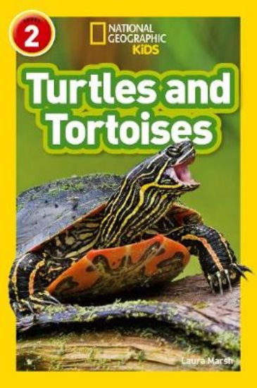 Picture of Turtles and Tortoises