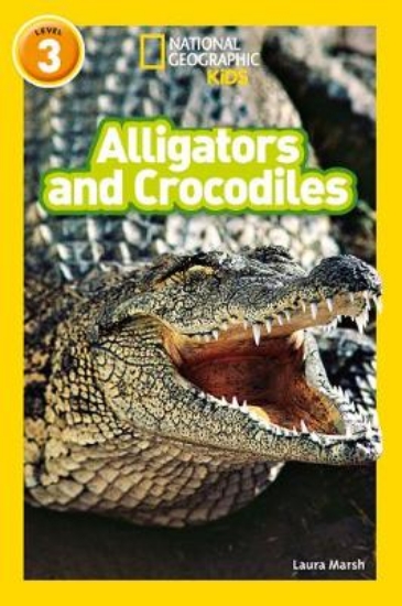 Picture of Alligators and Crocodiles