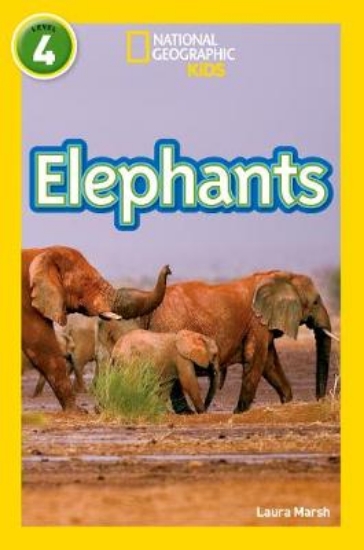 Picture of Elephants