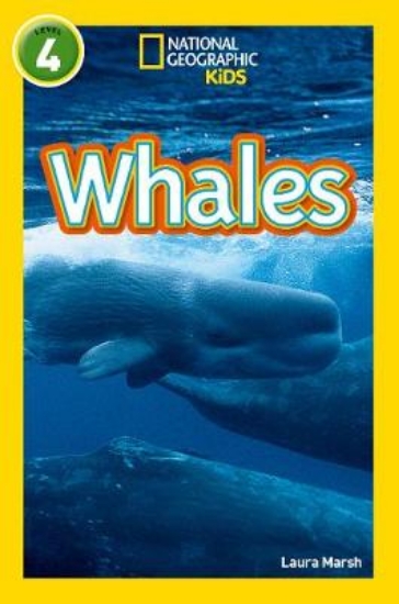 Picture of Whales
