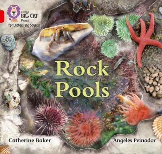 Picture of Rock Pools