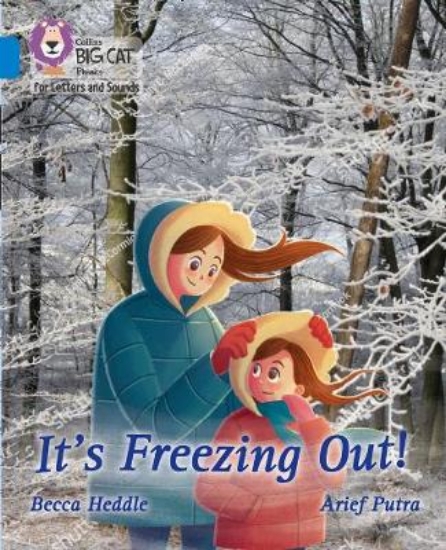 Picture of It's freezing out!